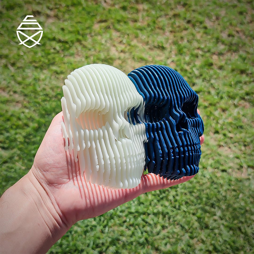 Quantum Skull 3d model