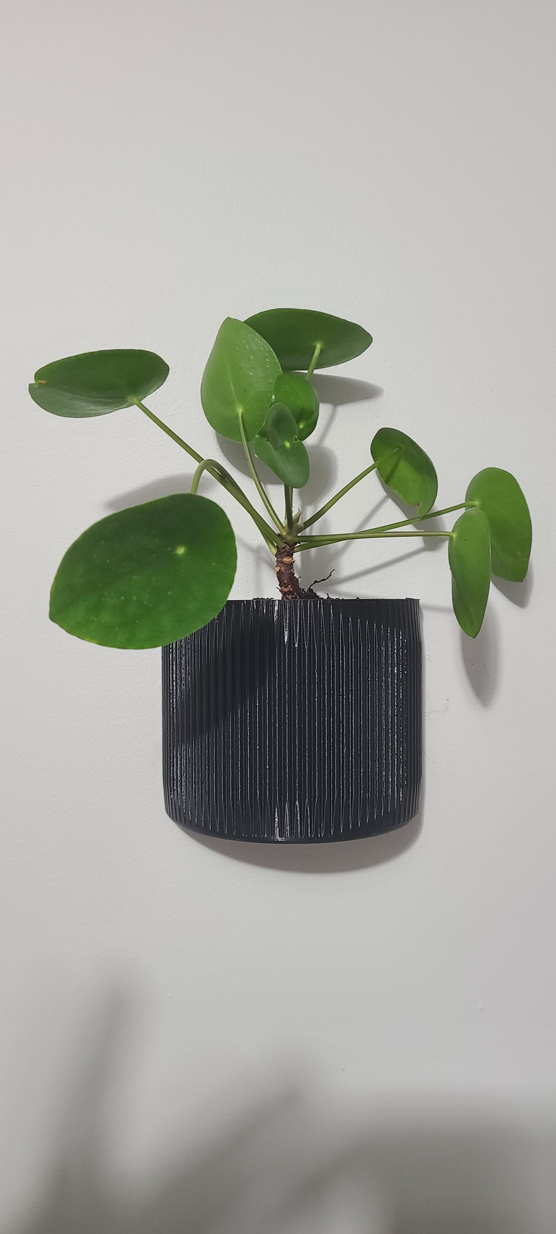 Wall Mounted Planter Fluted Half Moon 3d model