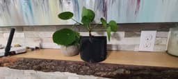 Wall Mounted Planter Fluted Half Moon 3d model