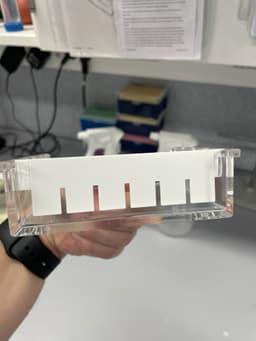 6 Well Electrophoresis Comb 3d model