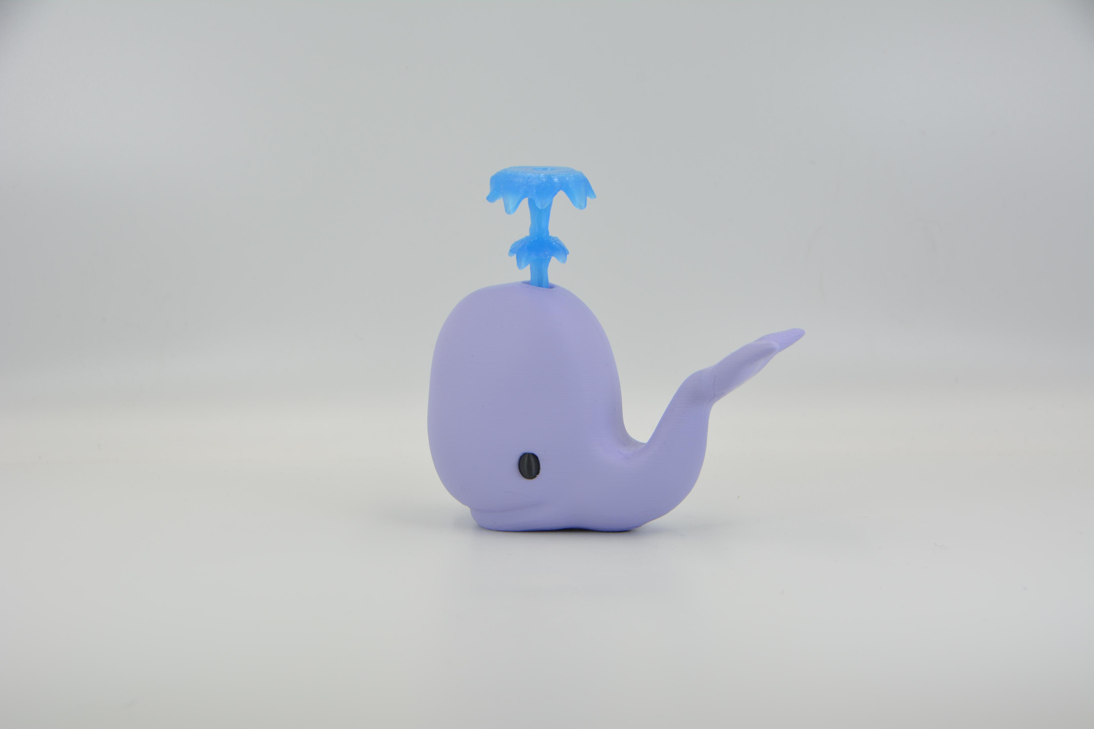 Whally the Whale 🐳 3d model