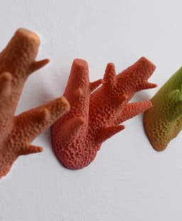 Wall coat hook “caliendrum coral” 3d model