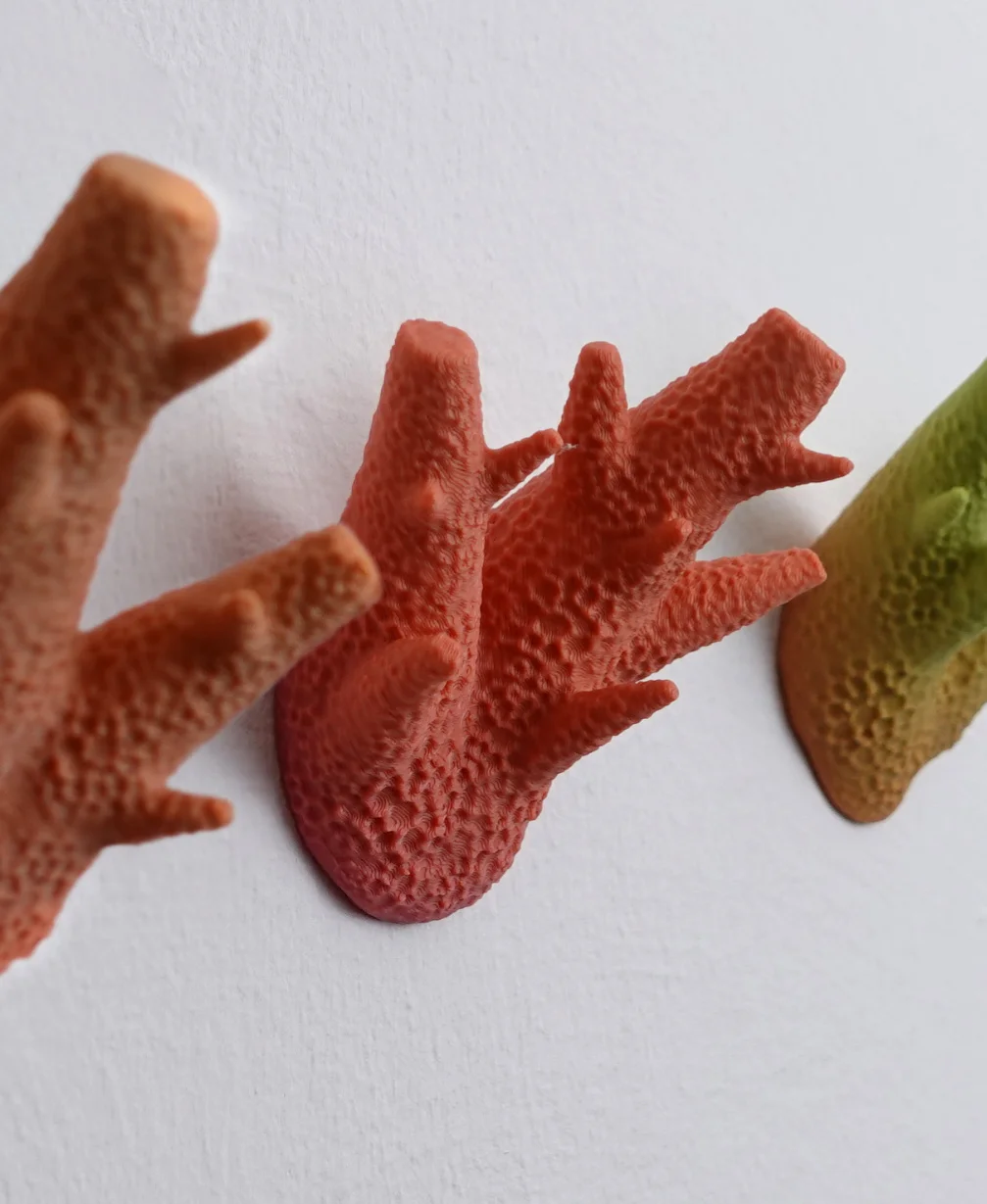 Wall coat hook “caliendrum coral” 3d model