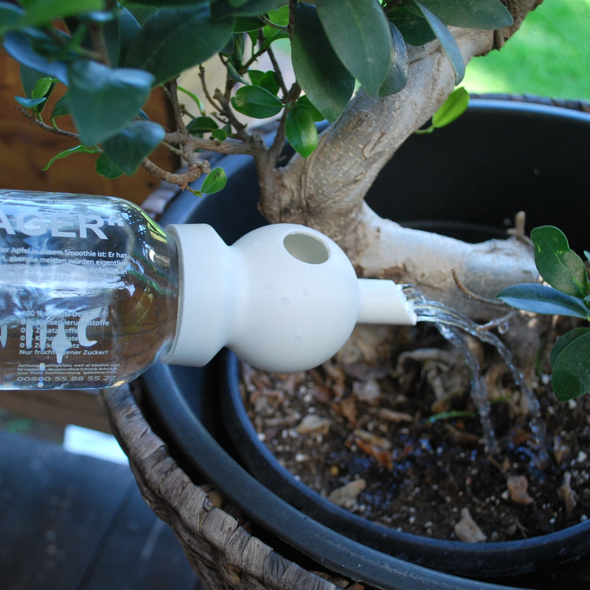 True fruits watering can 3d model