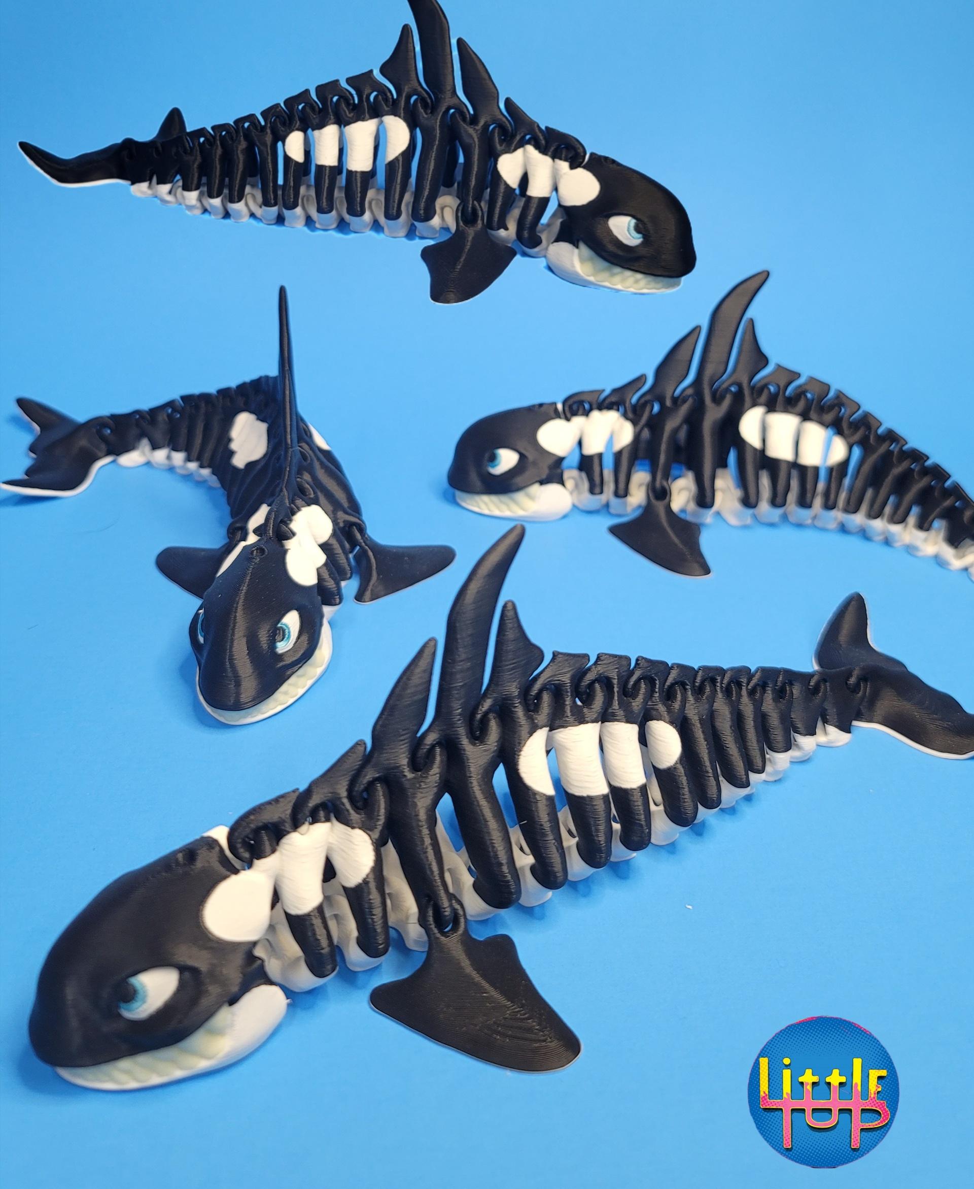 Killer Whale  3d model