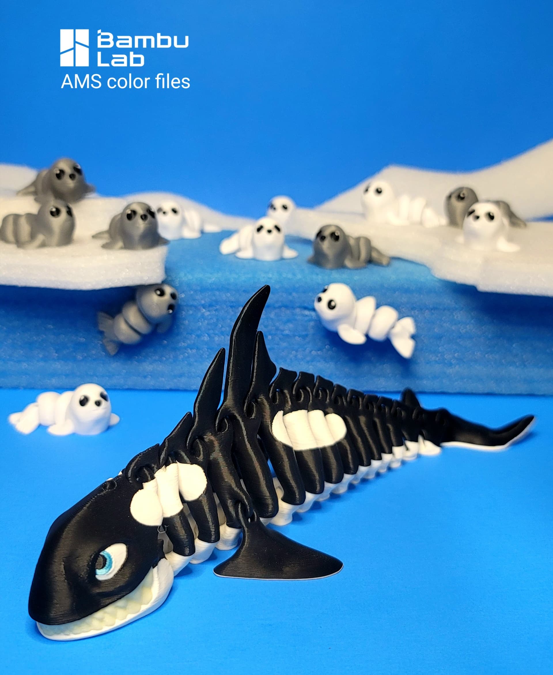 Killer Whale 3d model