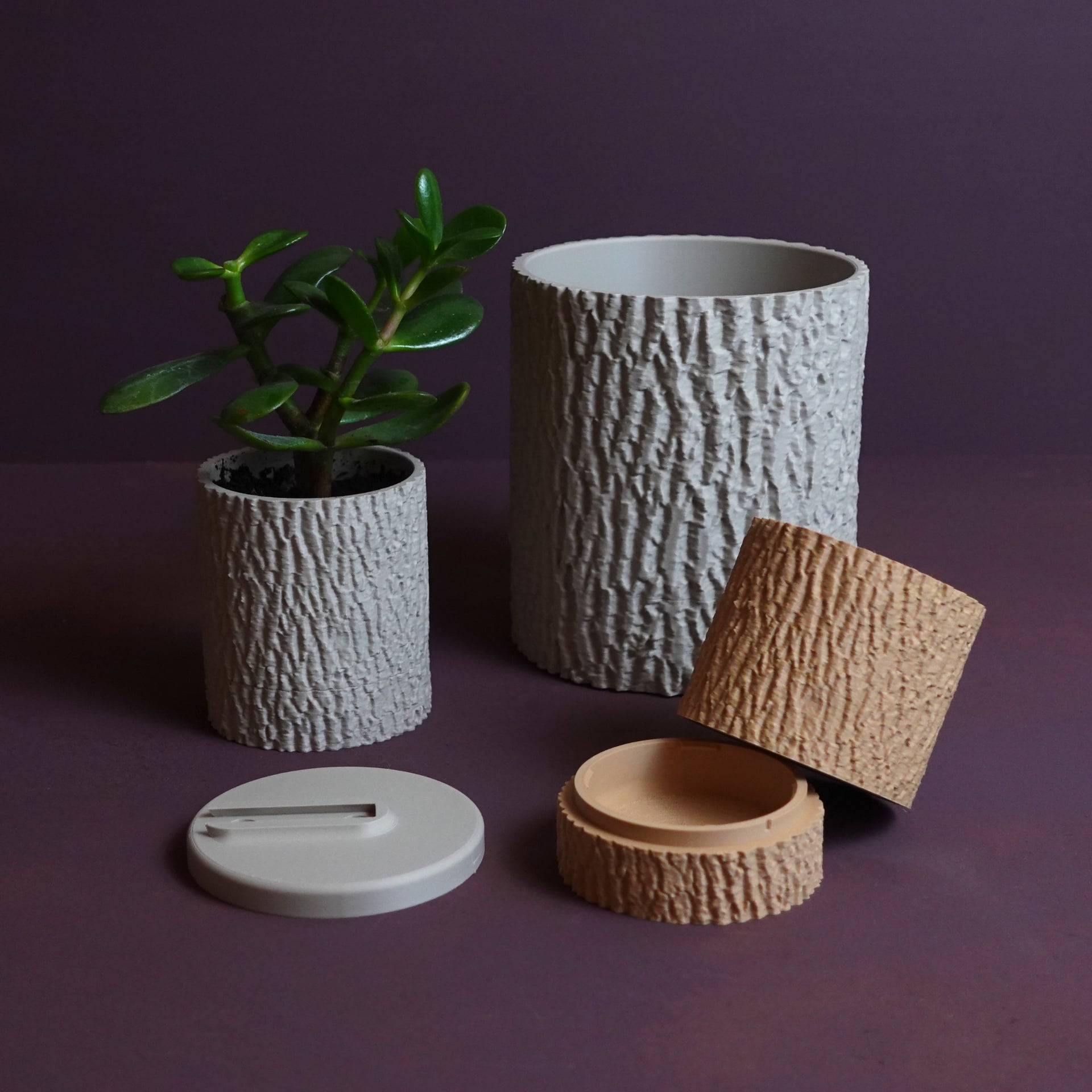 Tree bark planter “Fraxinus Excelsior” 3d model