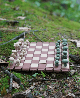 Forest Chess Set - Log and Mushroom Chess Board - Checkers 3d model