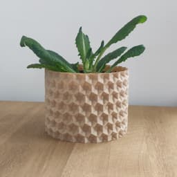 Planter 3d model