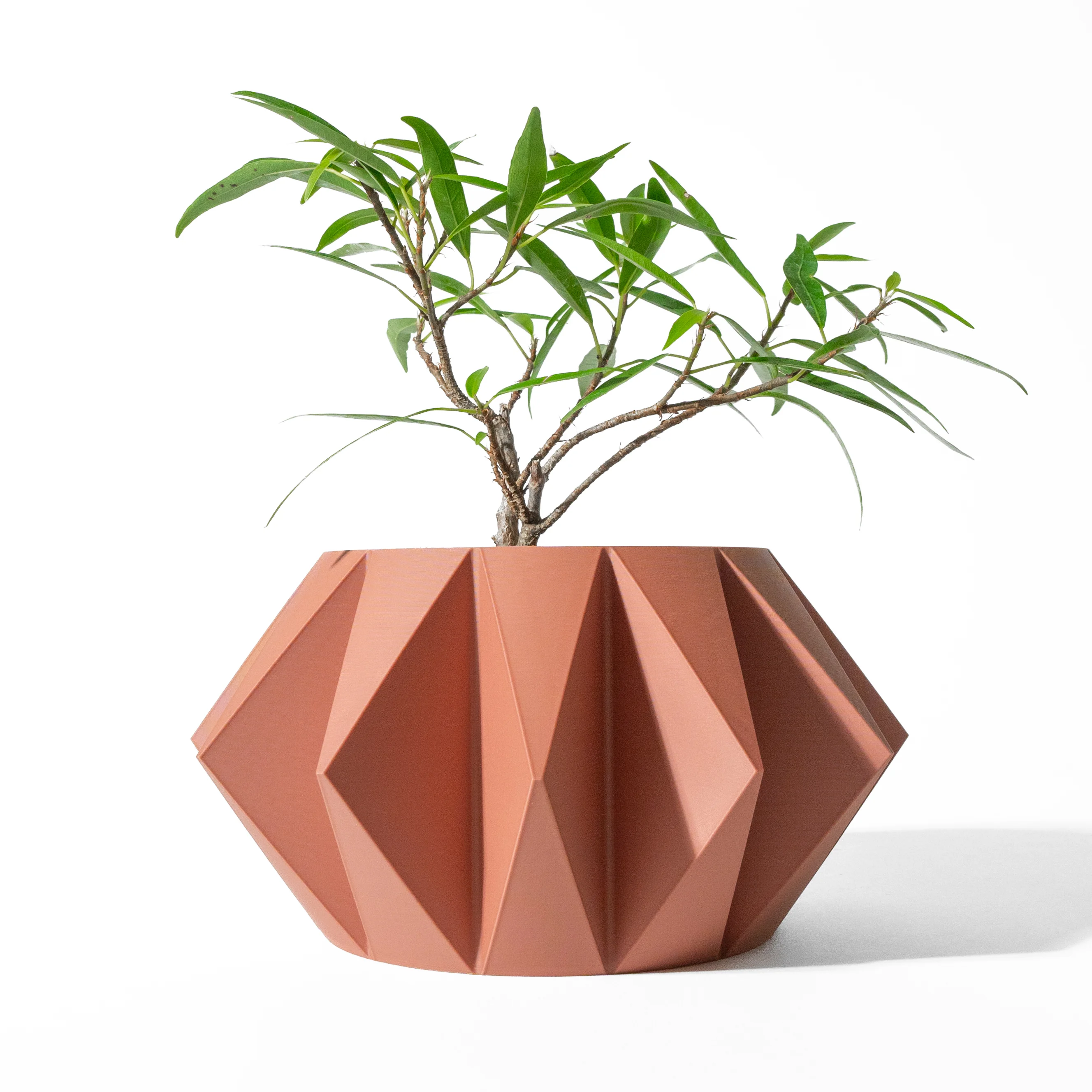 The Koni Planter Pot with Drainage Tray & Stand: Modern and Unique Home Decor for Plants 3d model