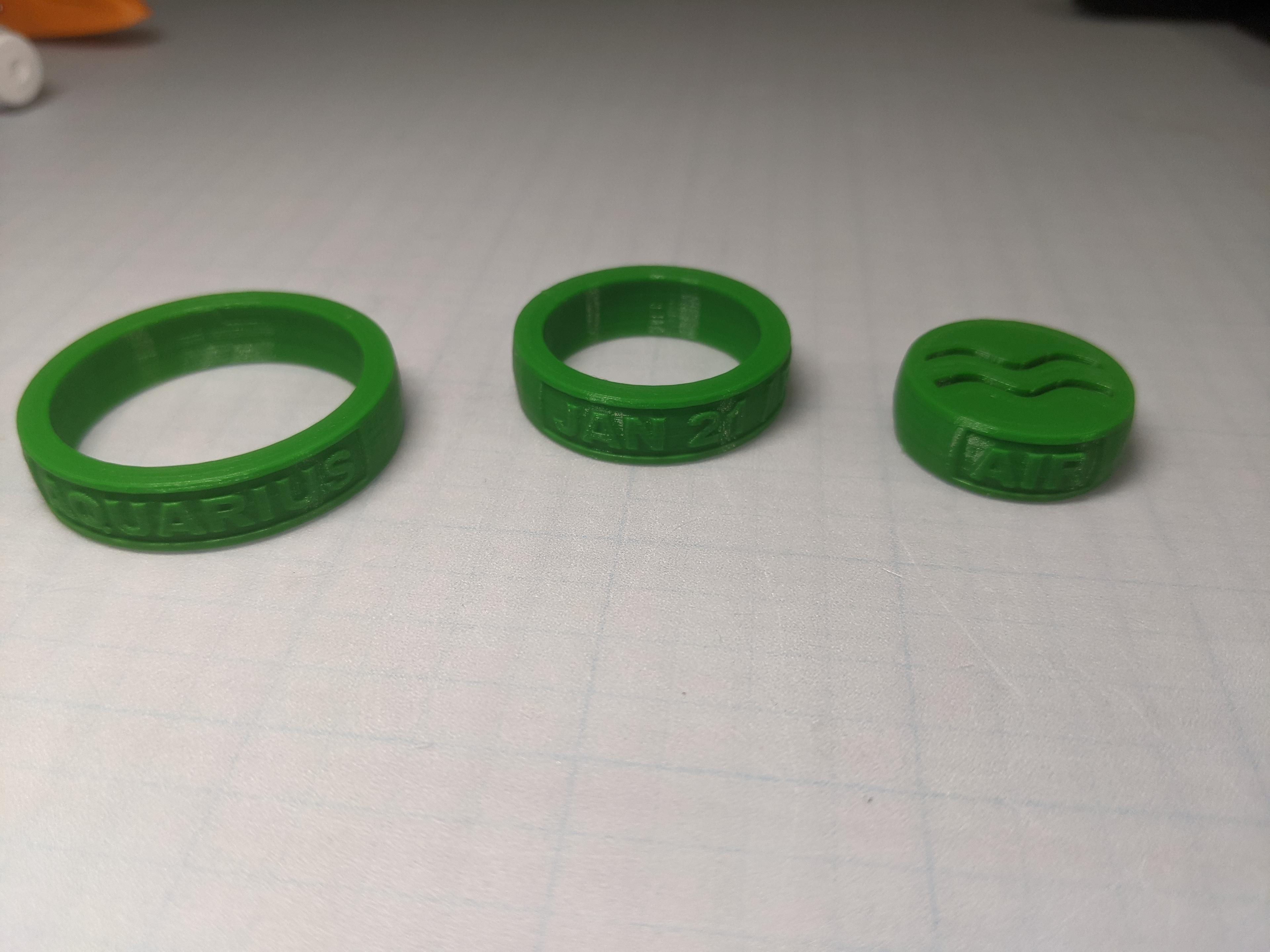 ZodiacSignKeyChainCollection.stl - The rings came apart really easily.  Needs nubs on the rings to keep them together as they spin. - 3d model