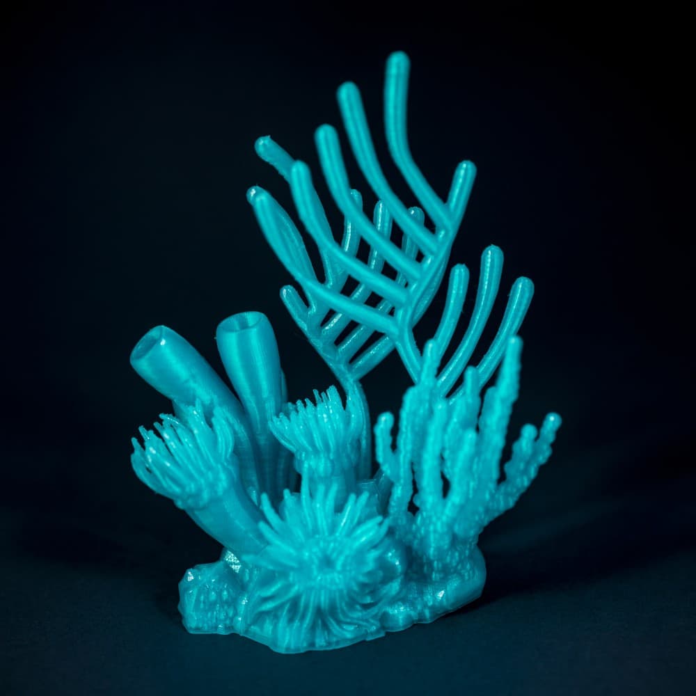 Marmalade Reef 3d model