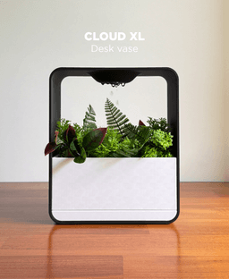 Cloud XL, desk vase. 3d model