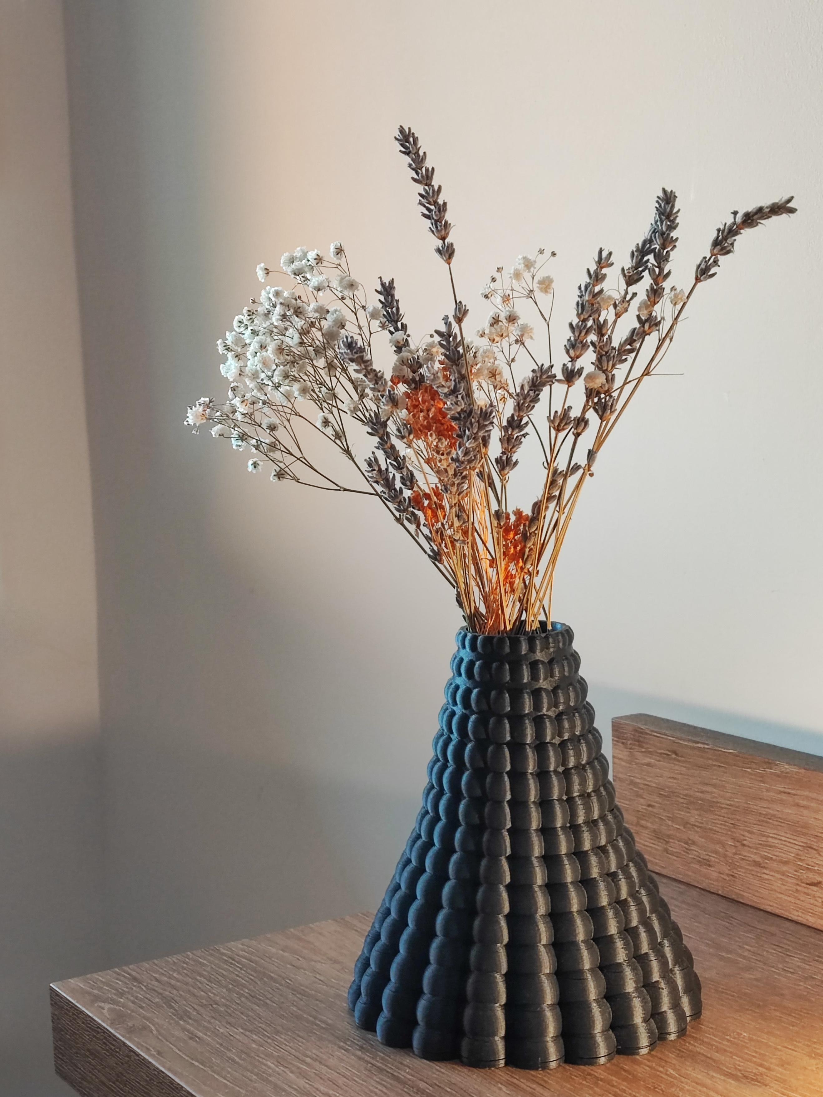 Magma | Vase 3d model