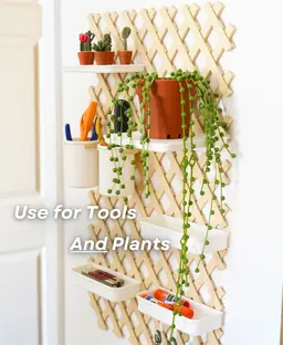 Trellis Storage System - Base Bundle | Pegboard Alternative 3d model