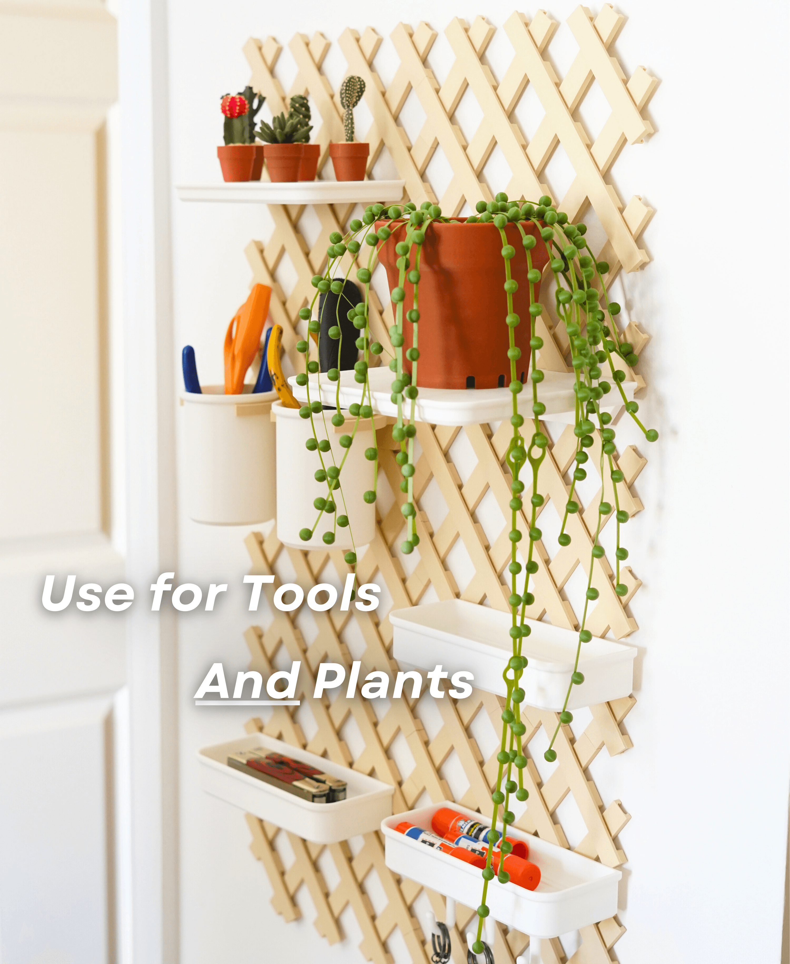 Trellis Storage System - Base Bundle | Pegboard Alternative 3d model