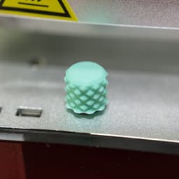 Gnurly Knob 3d model