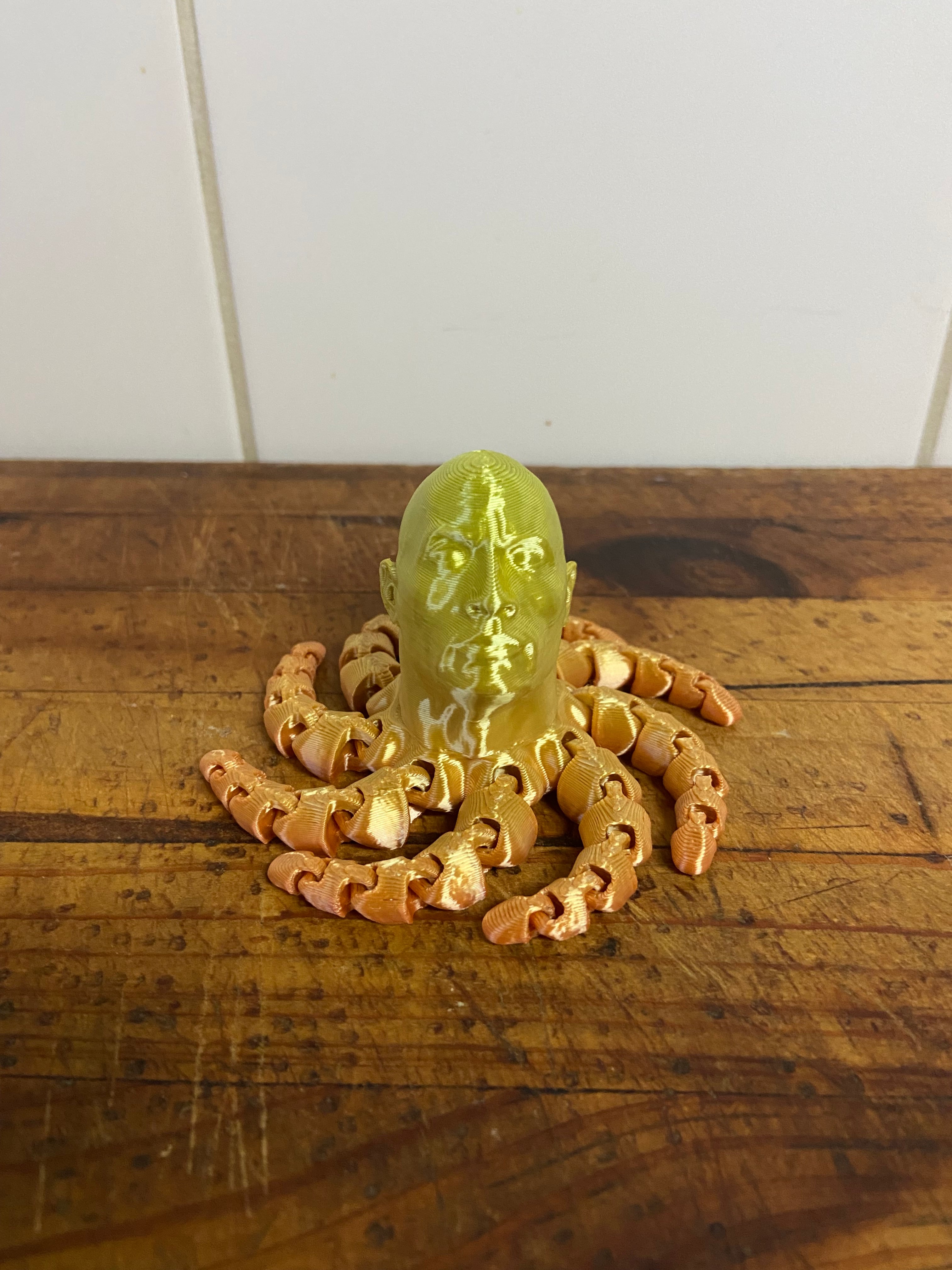 Rocktopus 3d model