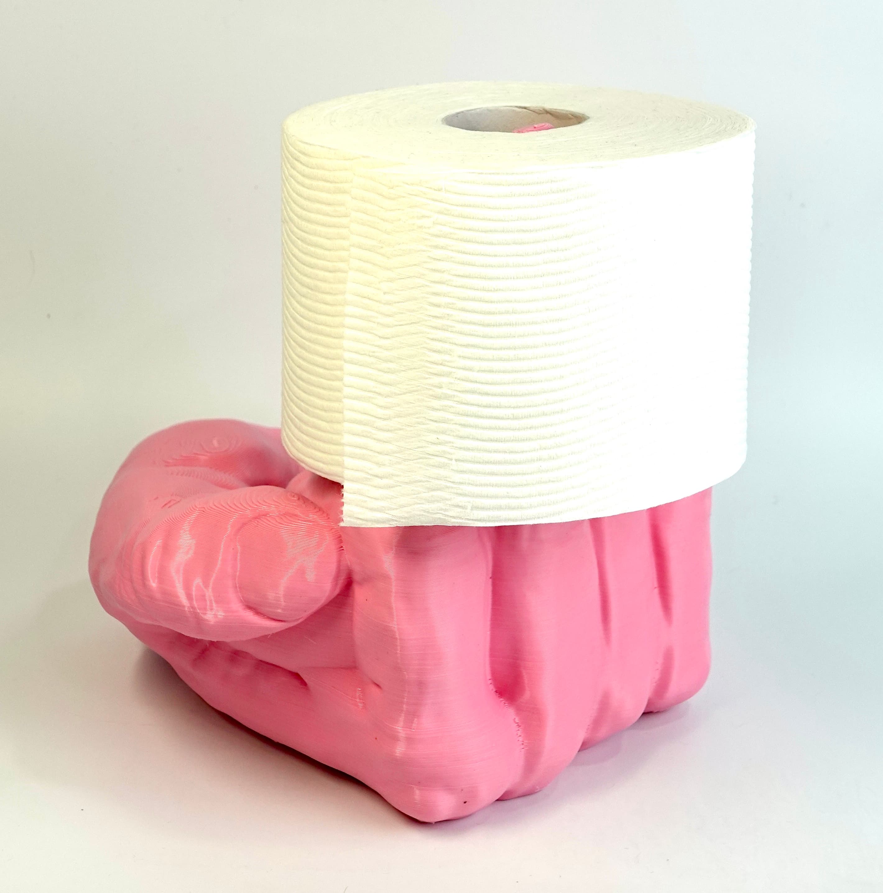 Middle Finger Toilet Paper Holder 3d model