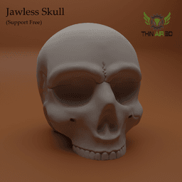 Halloween Skulls/Skull Decor - Halloween Decor 3d model