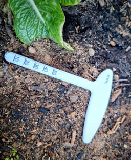 Seed Sowing Depth Gauge - Seed Sowing Depth Gauge In Metric Measurements - 3d model