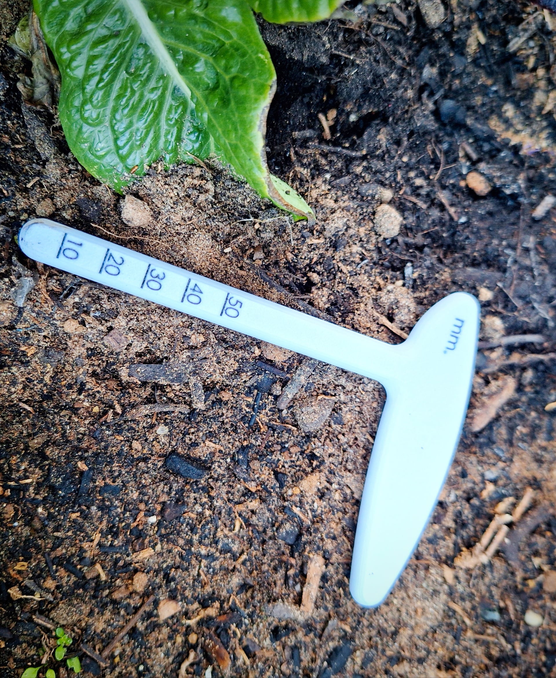 Seed Sowing Depth Gauge - Seed Sowing Depth Gauge In Metric Measurements - 3d model