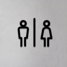 Toilet Sign 3d model