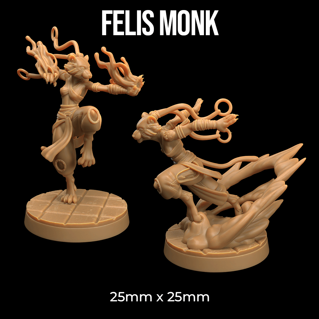 Felis Monk 3d model