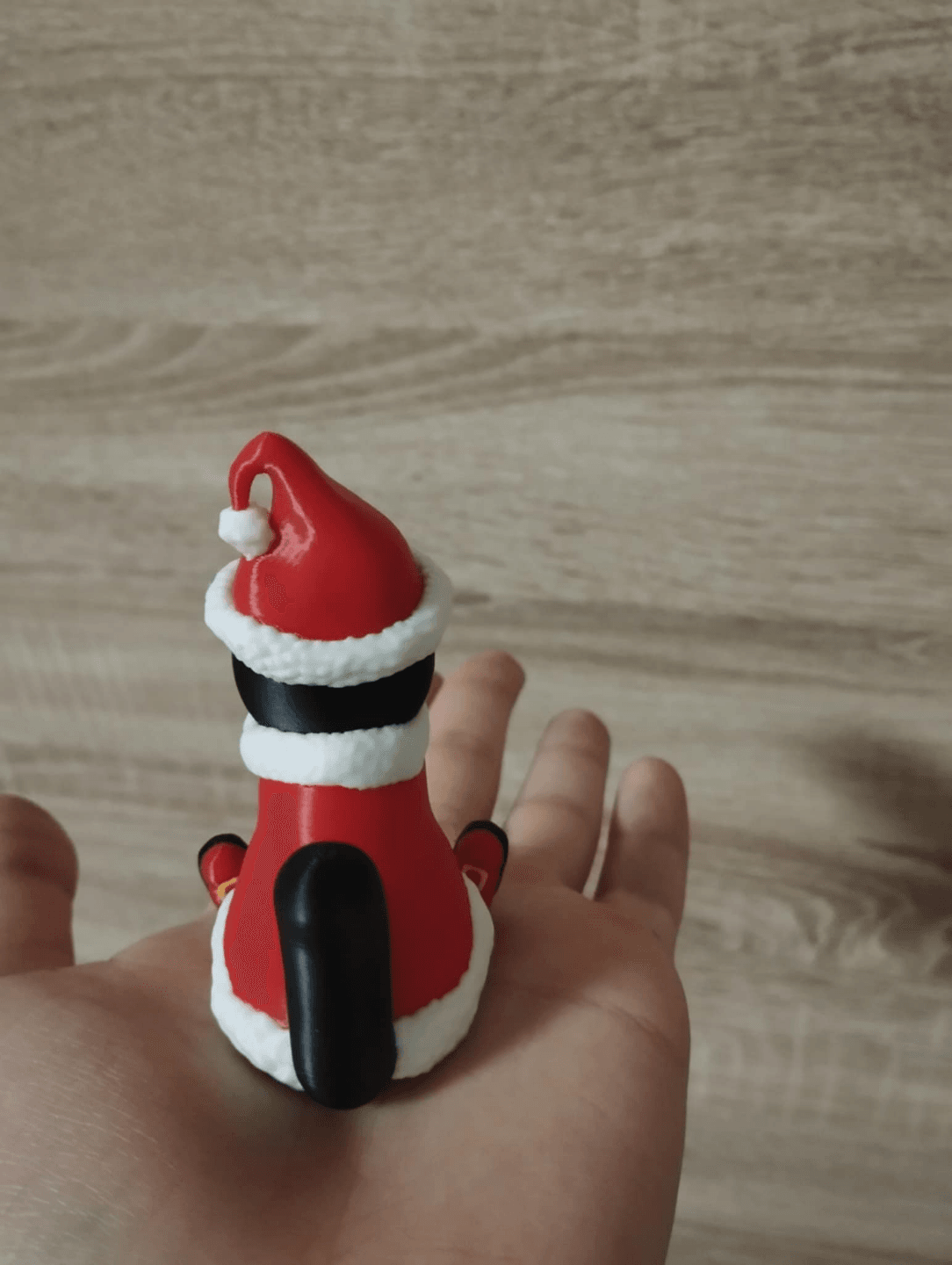 Santa Cat 3d model