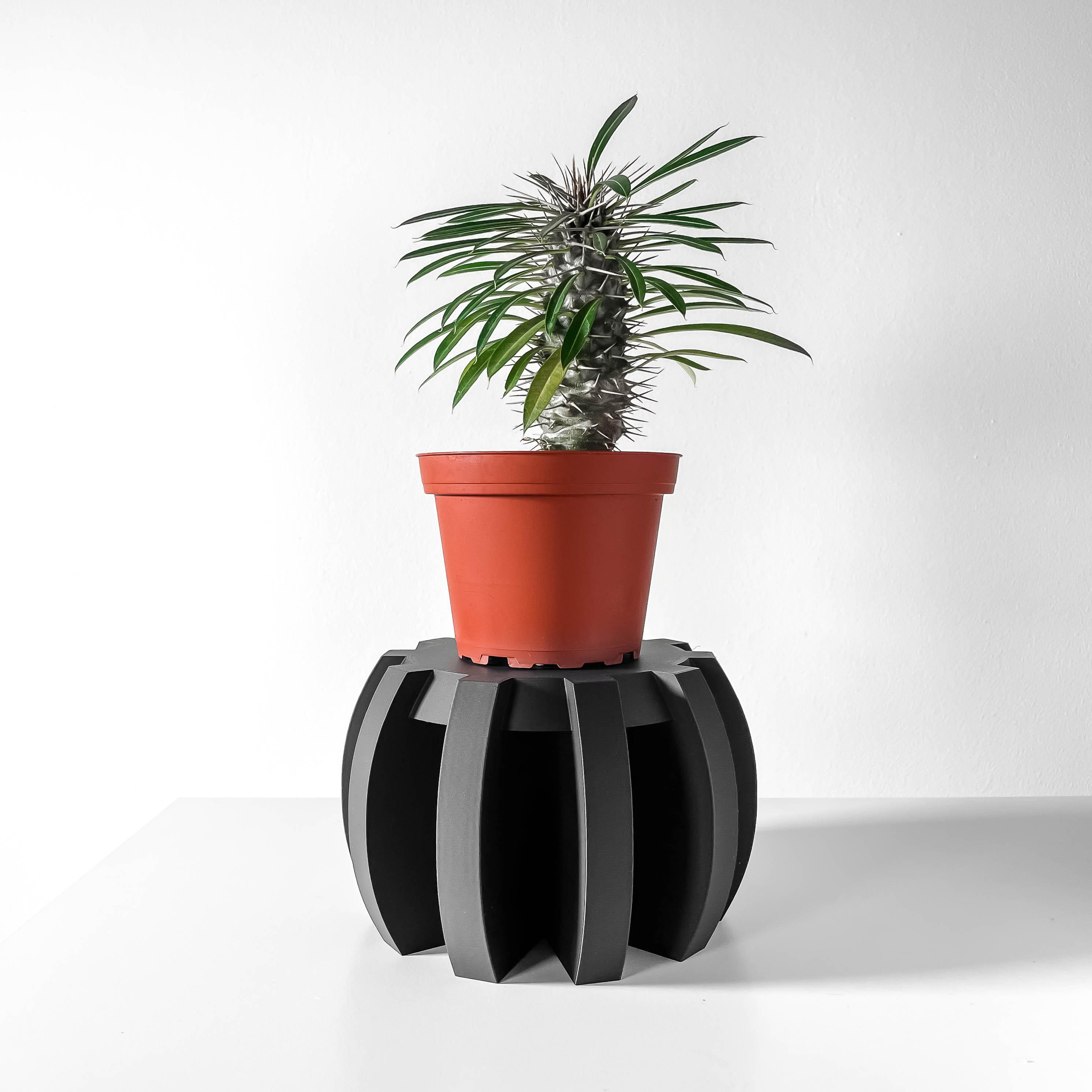 The Miko Display Stand for Plants or Unique Items | Modern Home Decor 3d model