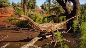 coelophysis 3d model