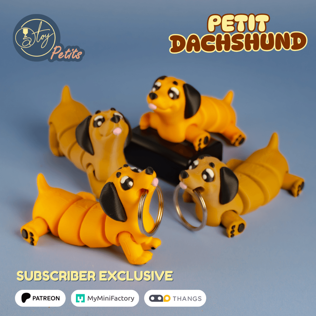 PETIT DACHSHUND 3d model
