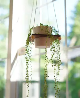 Auro Hanging Planter 3d model