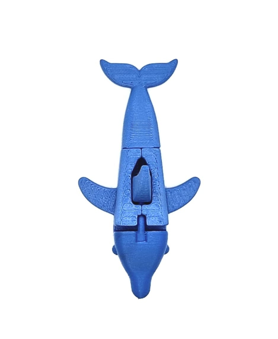 Flexi Dolphin 3d model