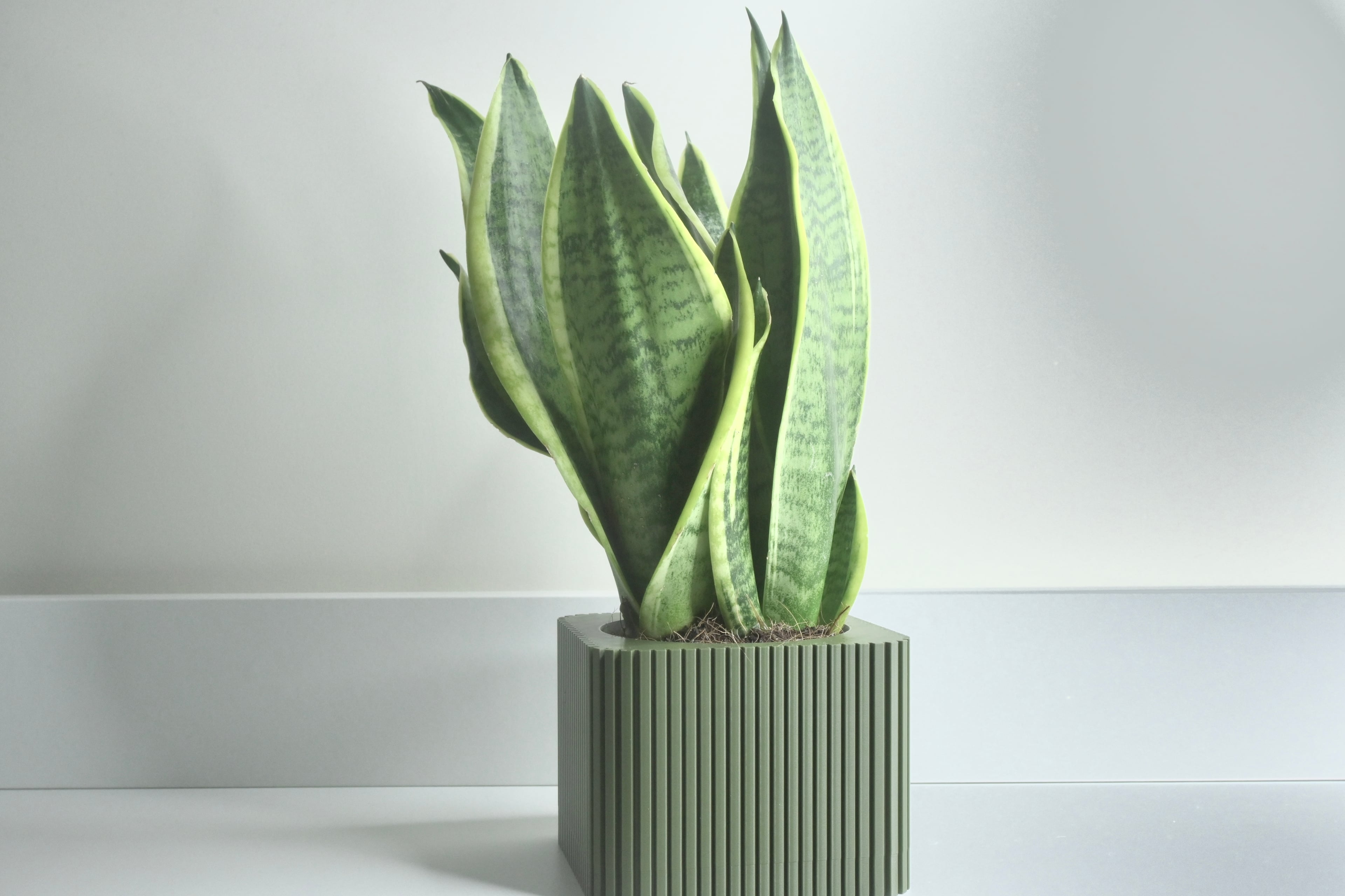 CANETH Vaso Moderno a Linee Verticali per Stampa 3D – Stile Minimal 3d model