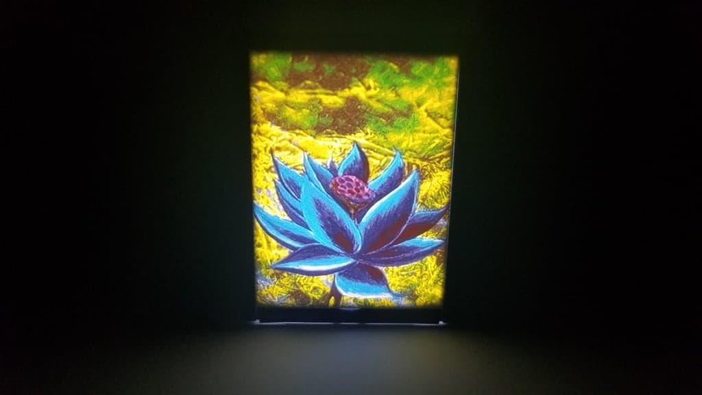 Black Lotus Lithophane for MTG Magic the Gathering 3d model