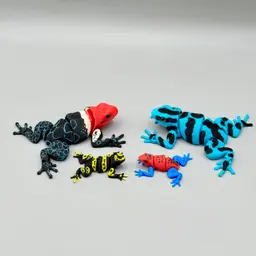 Articulated Poison Dart Frog | Pre-Painted + Optional 6mm Glass Eye Version 3d model