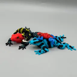 Articulated Poison Dart Frog | Pre-Painted + Optional 6mm Glass Eye Version 3d model