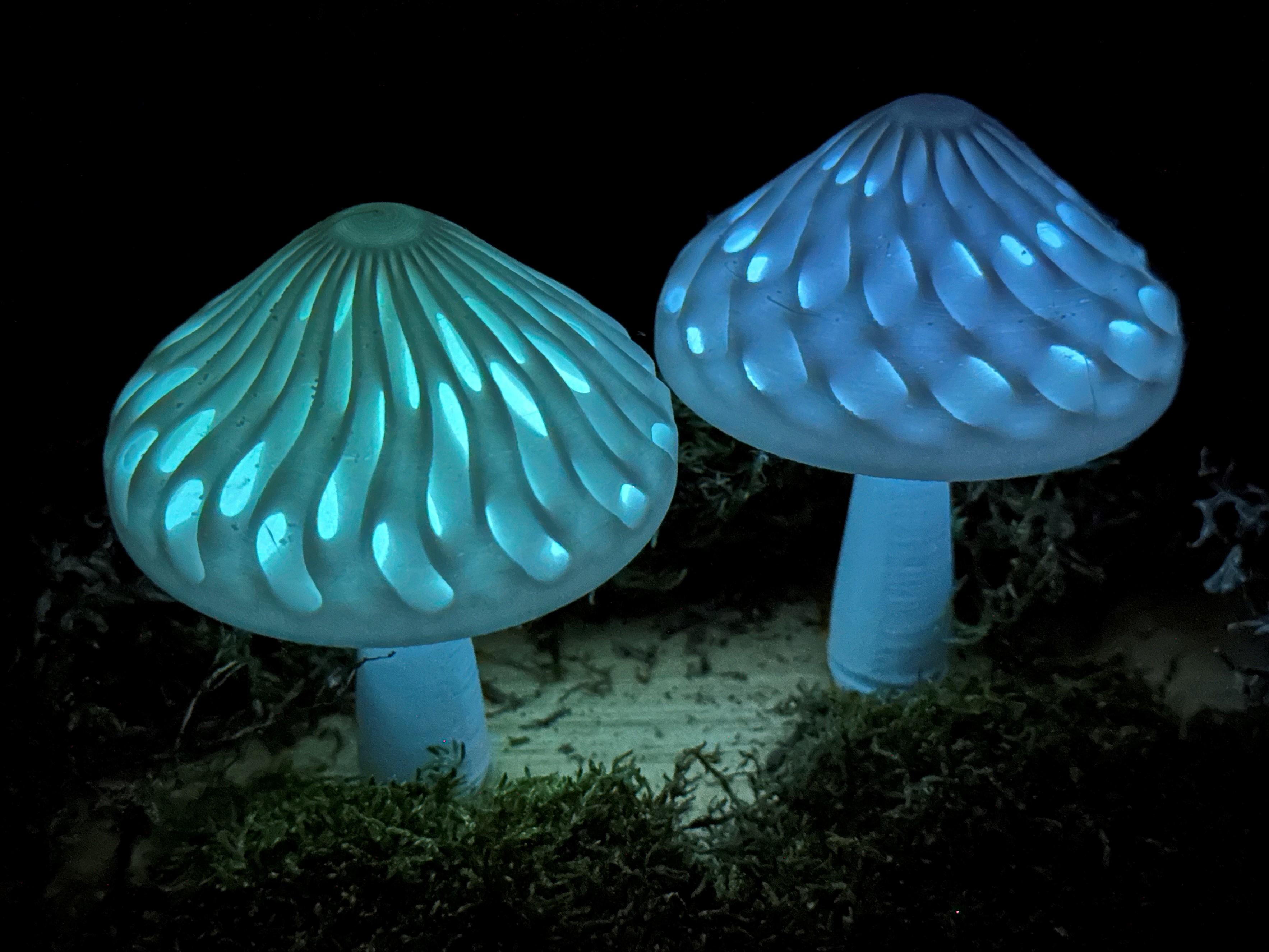 Dual Colour Modular Mushroom Caps (Glow-in-the-Dark) 3d model