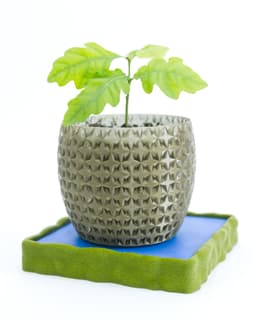 SHIMMER 03 Planter 3d model