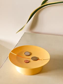 Sun tray 3d model