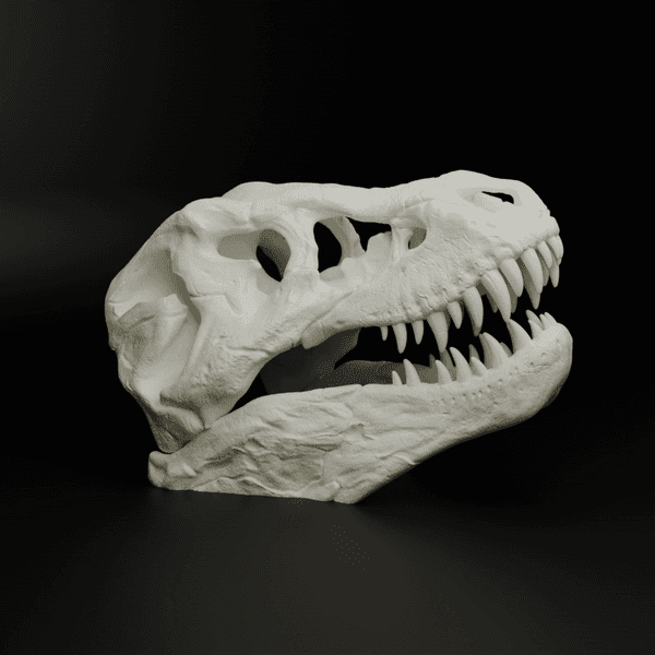 T Rex Rainer Select Select membership plan including T-Rex Skull (MysticMesh3D)
