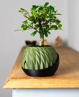 Shape Shifting Plant Pot "Wingcrest" | Self-Watering + Water Level Indicator 3d model