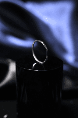 Ring Edges 3d model