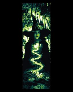 Fan Art of the Musical Wicked - All paths lead to the Green Witch - Set of bookmarks 3d model