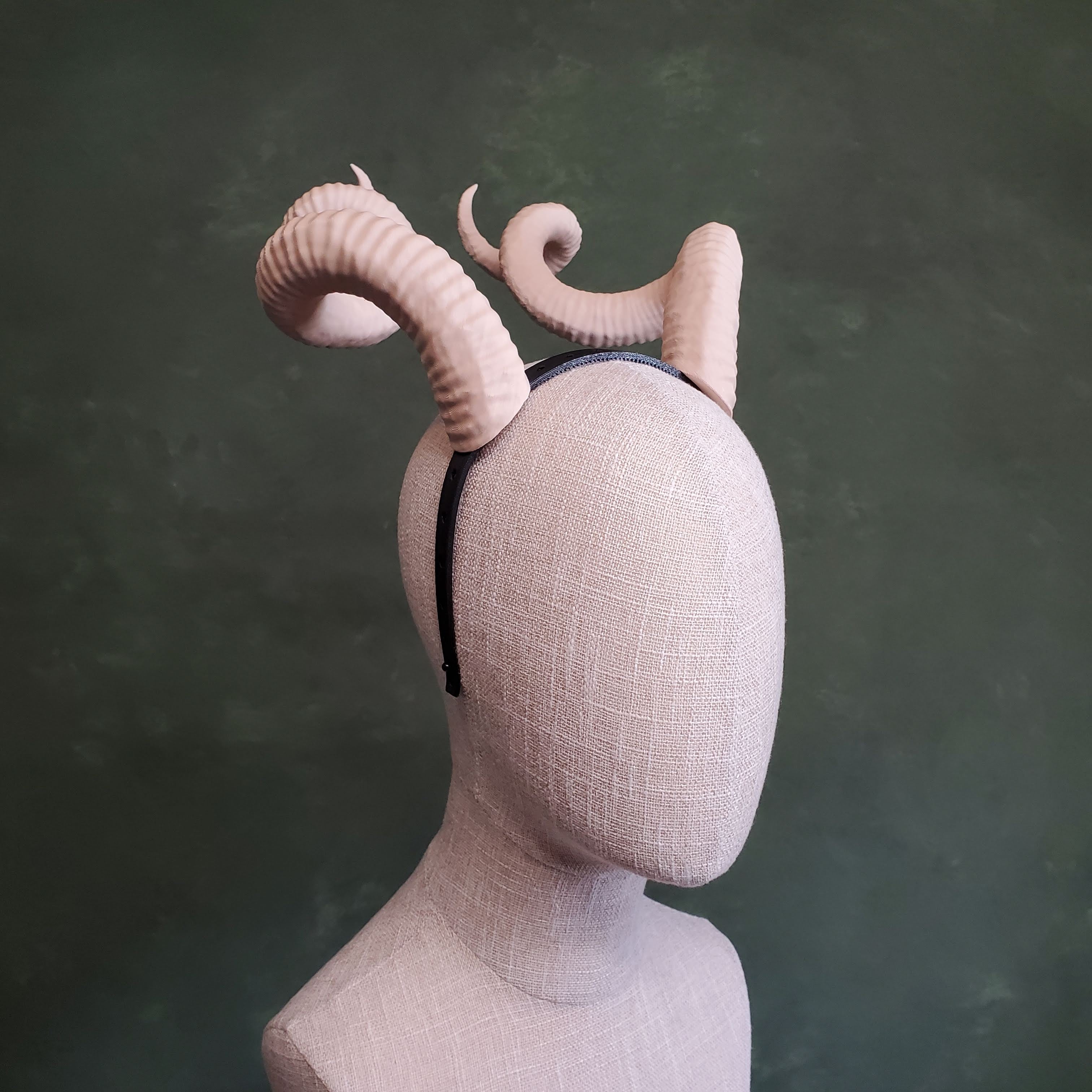 Bianca | Large Spiral Horns 3d model