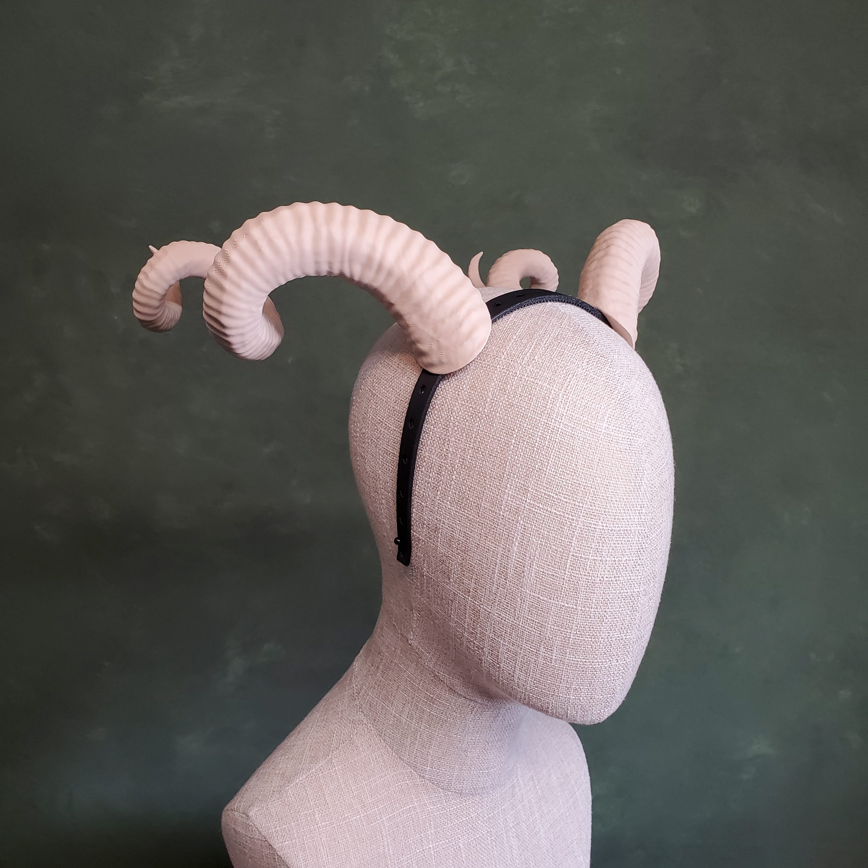 Bianca | Large Spiral Horns 3d model