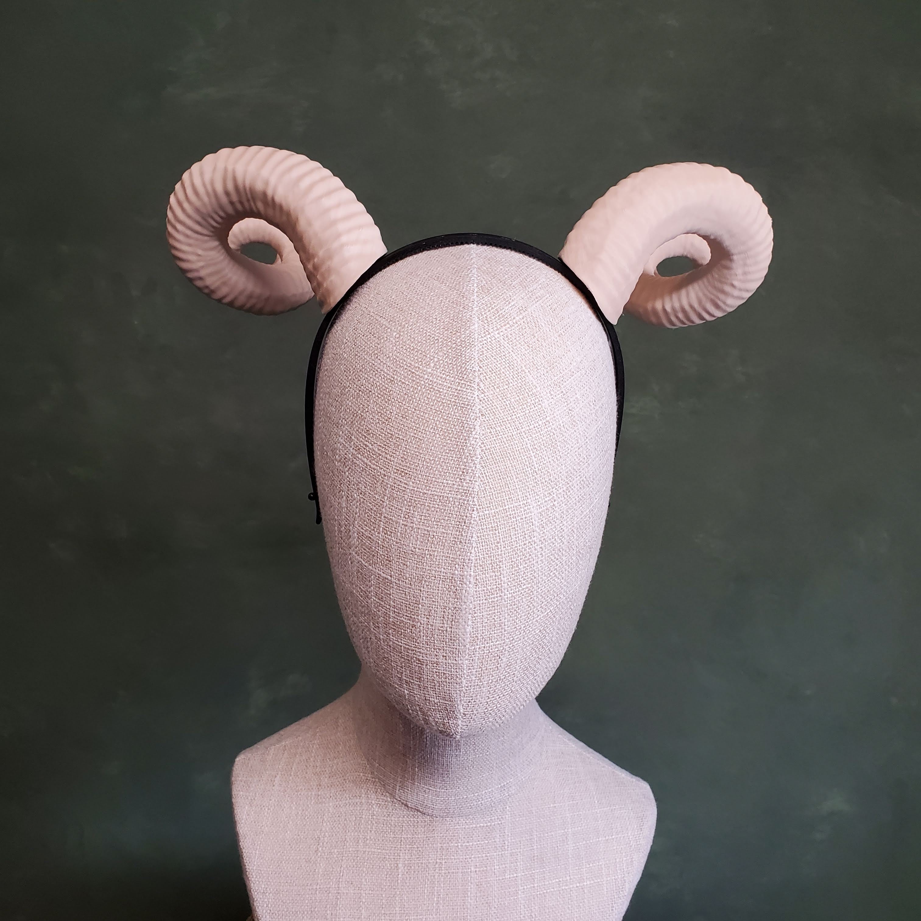 Bianca | Large Spiral Horns 3d model