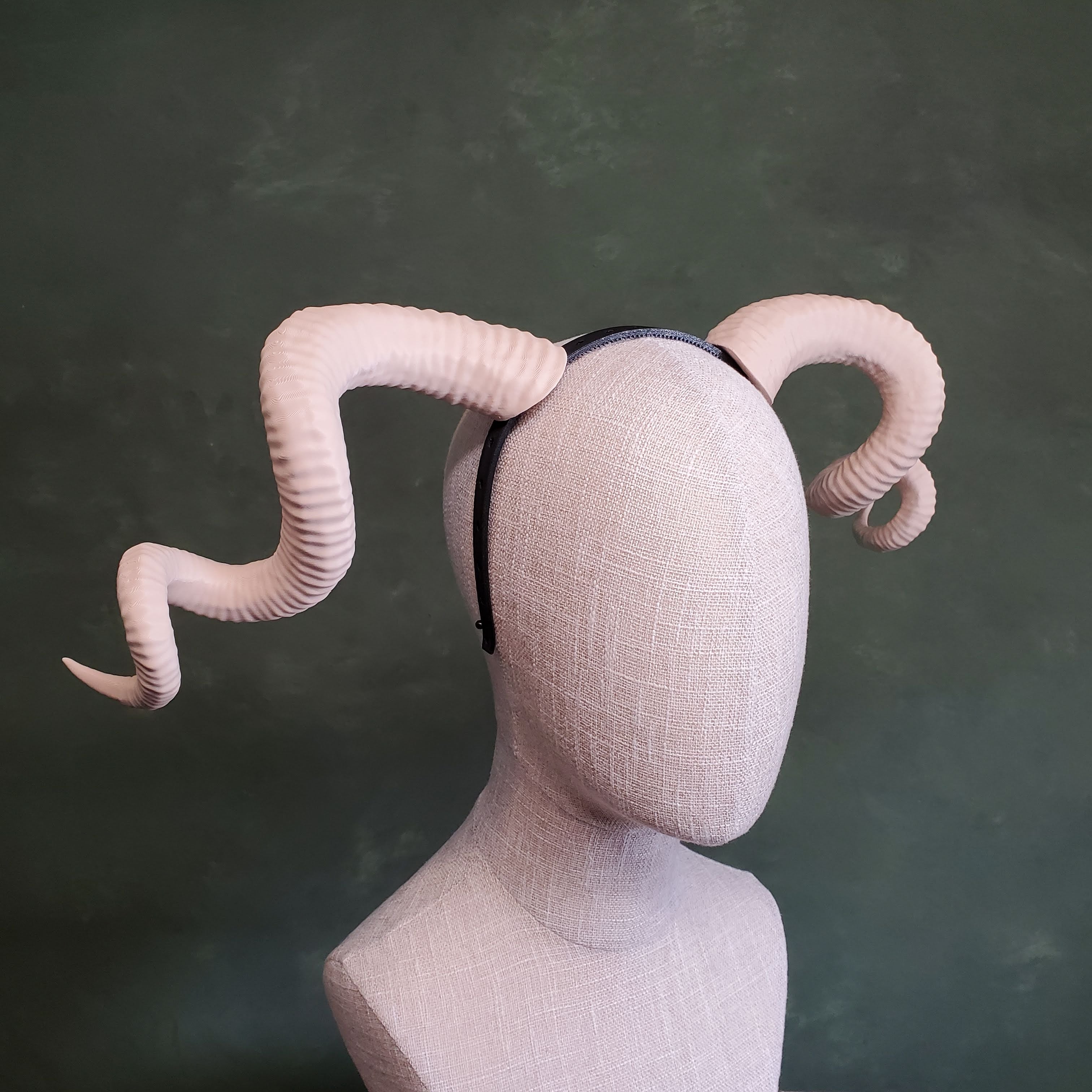 Bianca | Large Spiral Horns 3d model