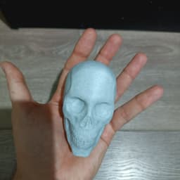 Male Skull Sculpt, Sculpture, Various Versions 3d model